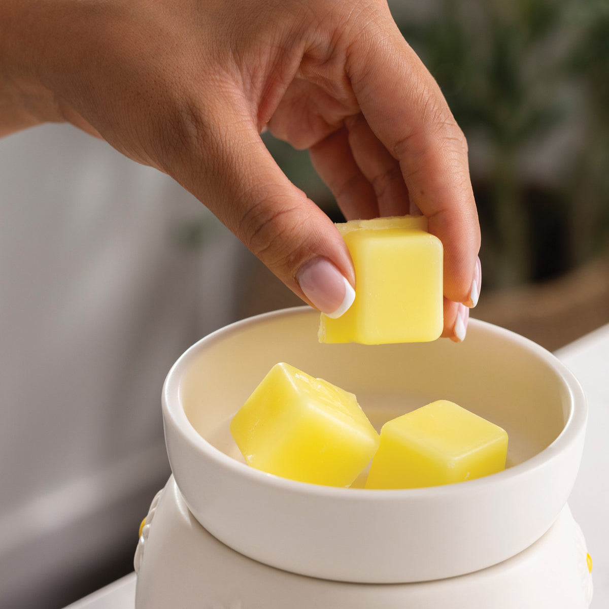 Daisy Electric Wax Warmer