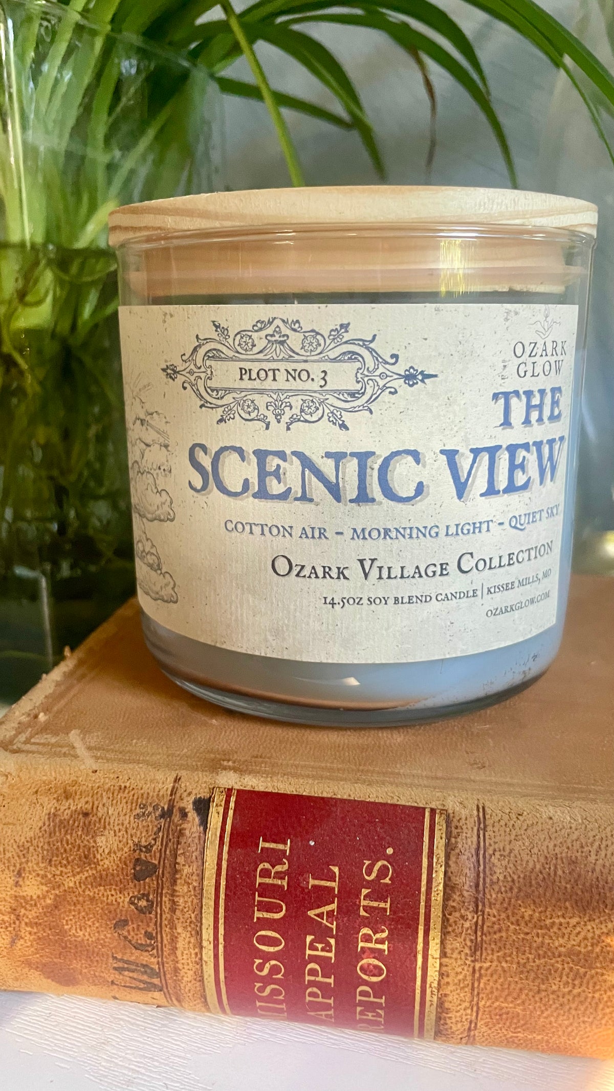 Plot #3 The Scenic View | Ozark Village Collection