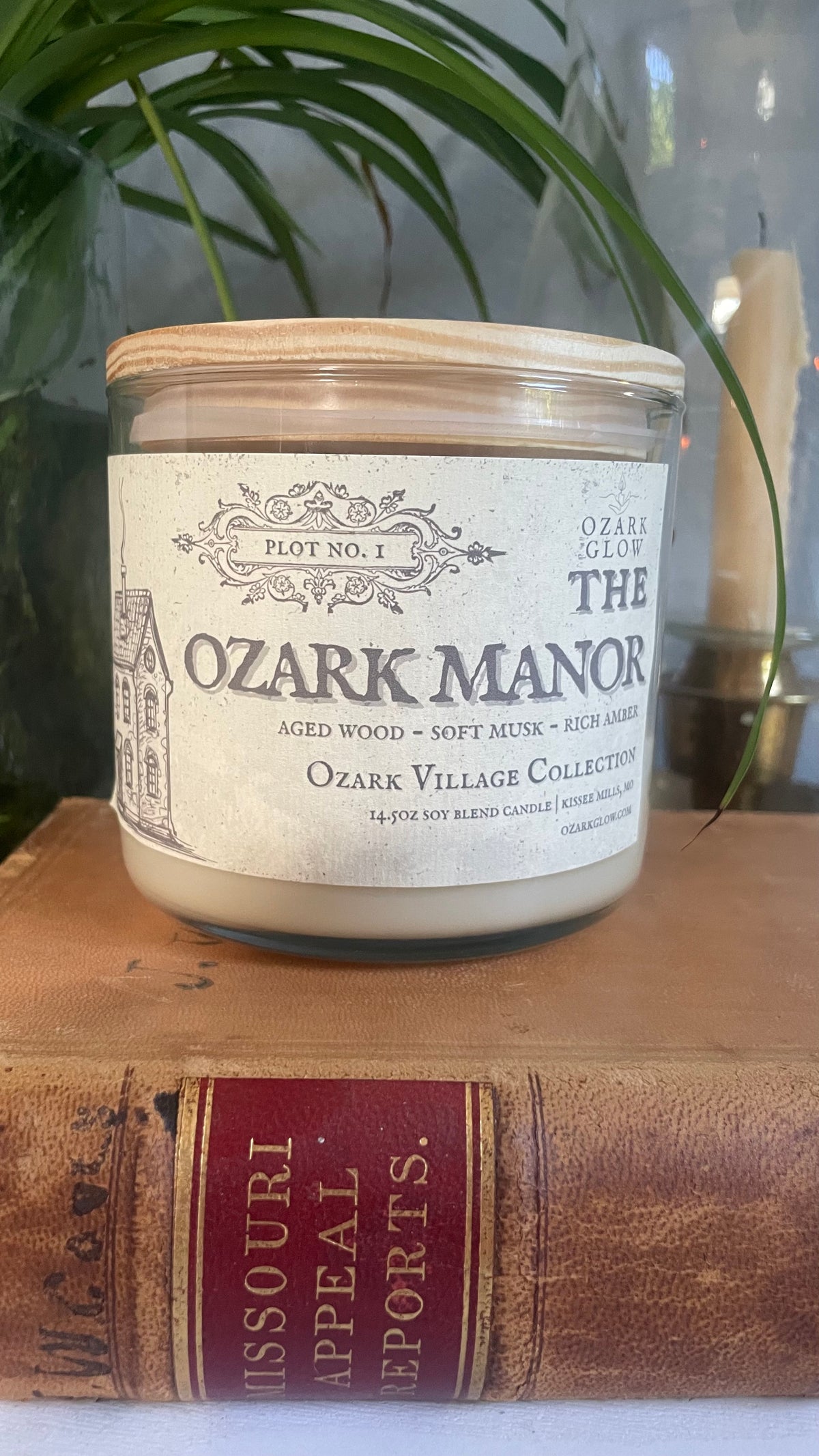 Plot #1 The Ozark Manor | Ozark Village Collection