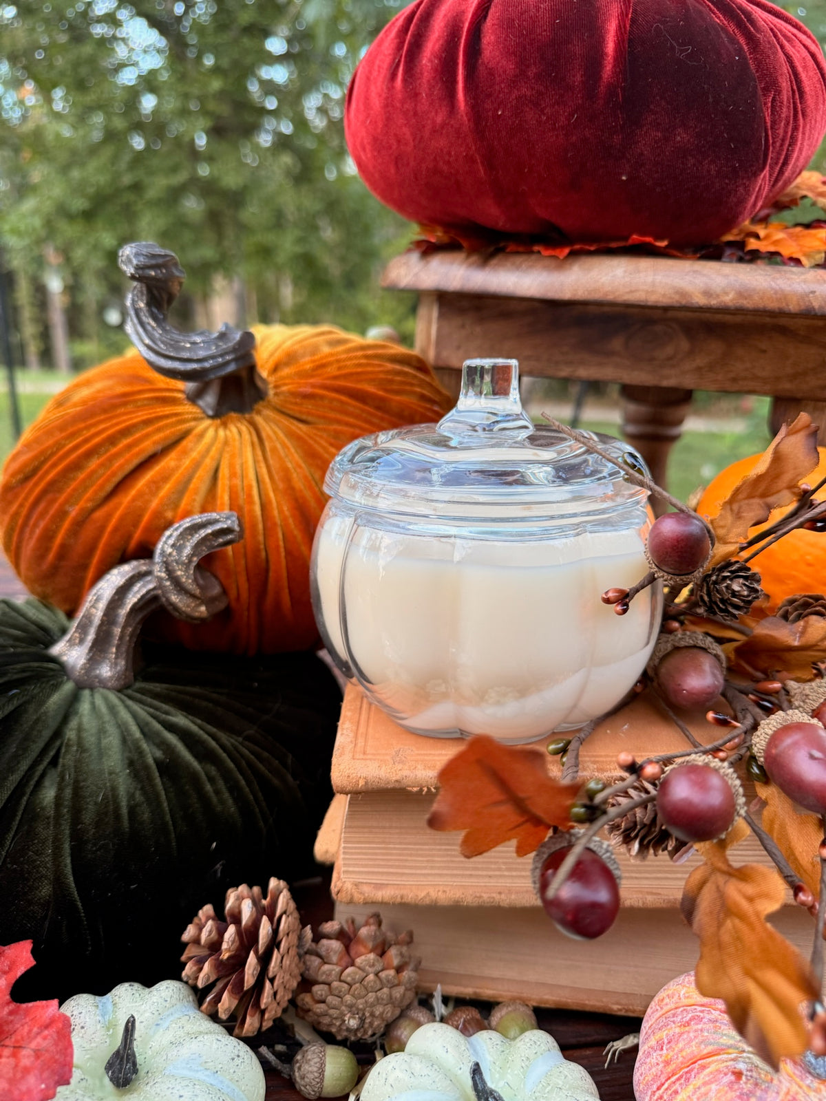 The Velvet Pumpkin - Limited Edition | Autumn 2025